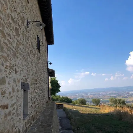 Madonna Del Latte 3*