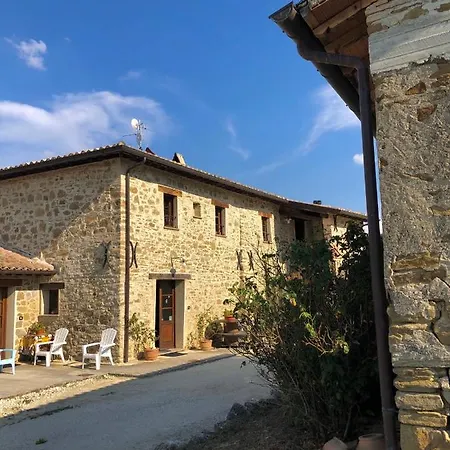 Madonna Del Latte 3*