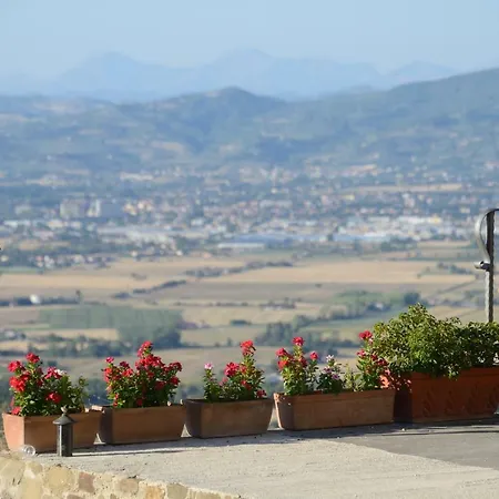 Madonna Del Latte Cannara