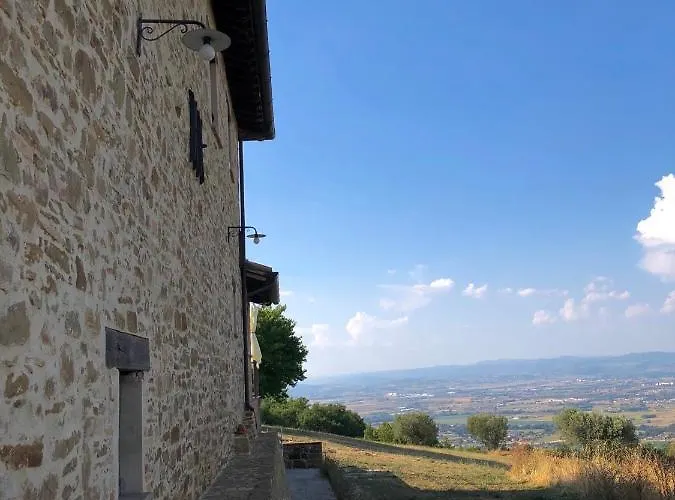 Madonna Del Latte 3*